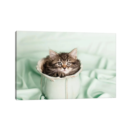 Cupcake by Rachael Hale - Photograph Print on Canvas