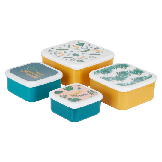 Lannie Mimo Palm 4 Container Food Storage Set