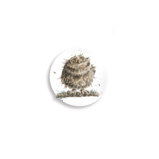 (Owl) Single Wrendale Designs Glass Domed Magnet | Choice of Designs