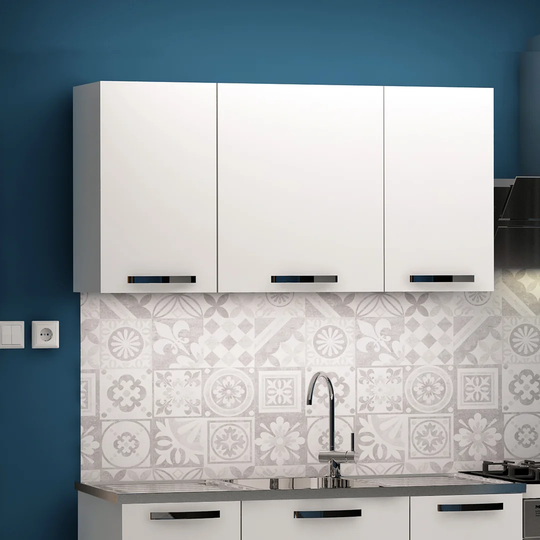 Anevay 60Cm H x 120Cm W x 32Cm D Wall Cabinet