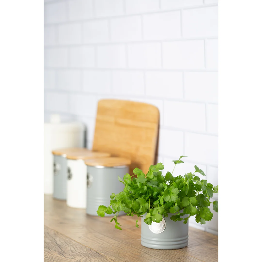 Living 2 Piece Plant Pot Set
