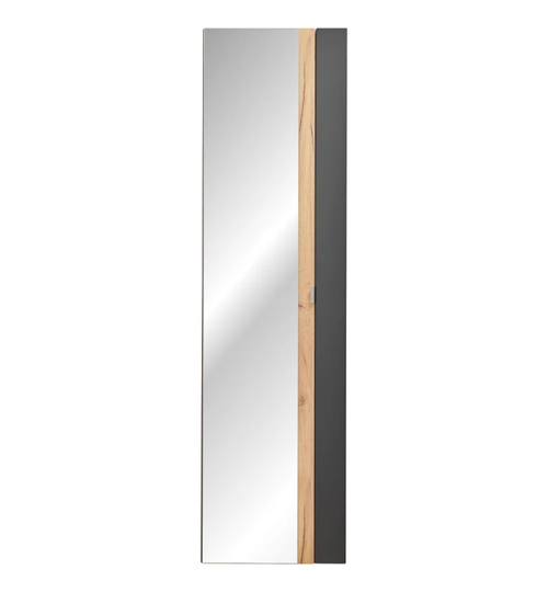 Elizabeth-Tazmin 45Cm W x 170Cm H x 33Cm D Wall Mounted Bathroom Cabinet