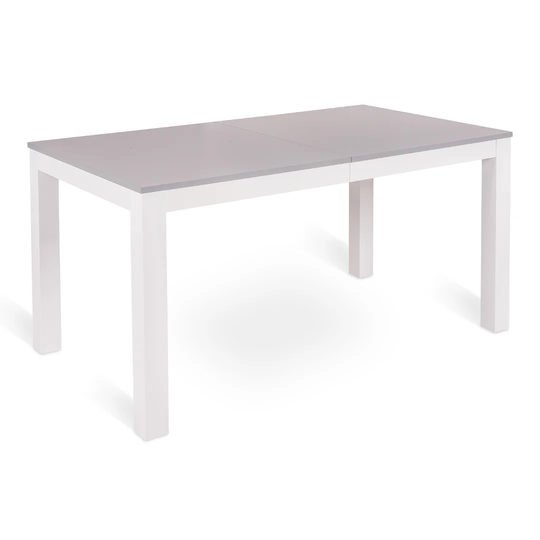 Briceno Extendable Dining Table