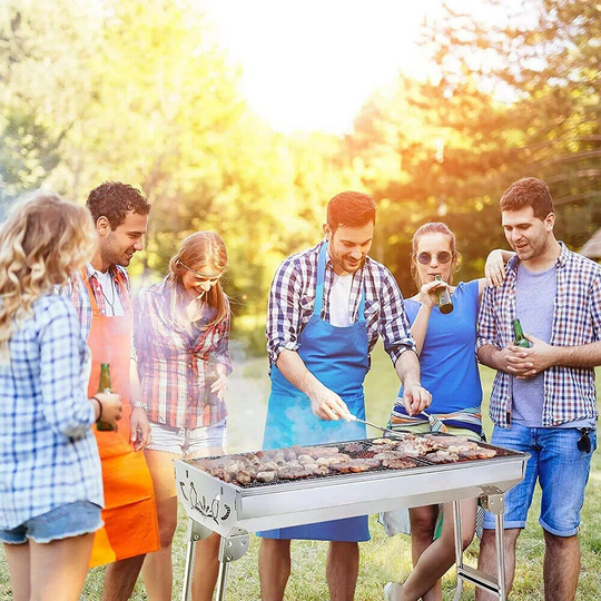 Ahmadi Single Burner Portable Gas Grill