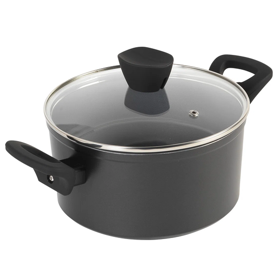 Deven 4 L Stock Pot with Lid