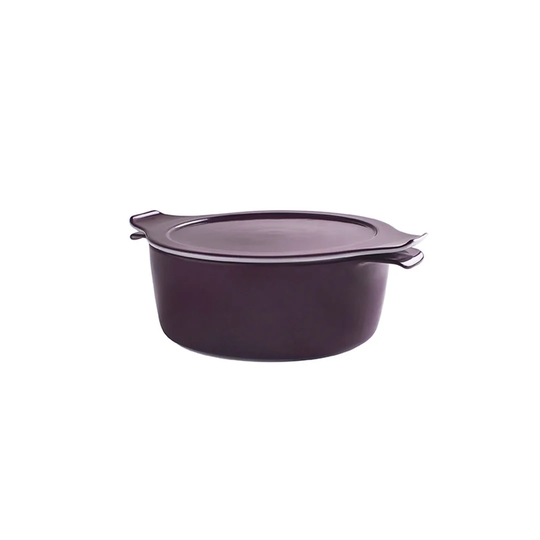 2 L Stock Pot with Lid