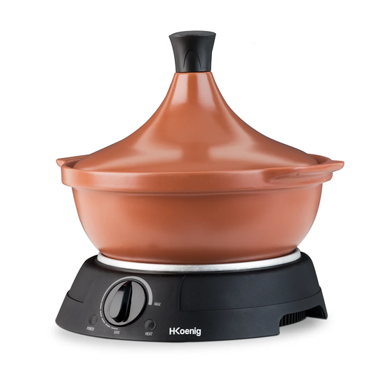 8EAB65DE608B438ABD1E0A9A65294AB1 3 L Electric Tagine