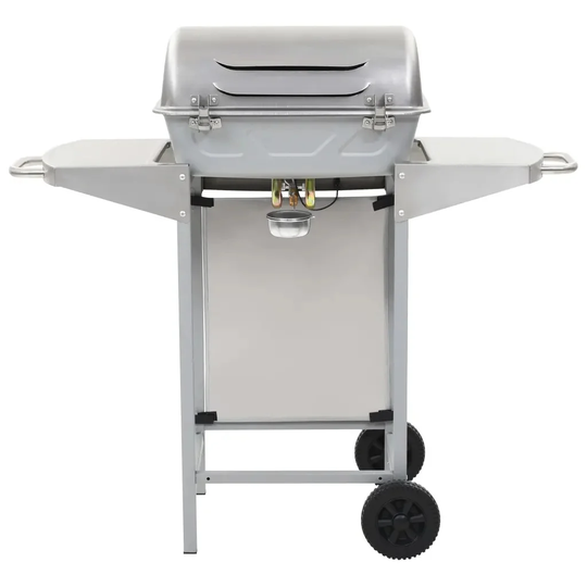 48.5cm Stainless Steel 2-Burner Portable Liquid Propane Barbecue Grill