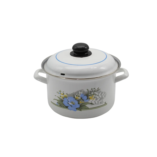 Florida Stock Pot with Lid