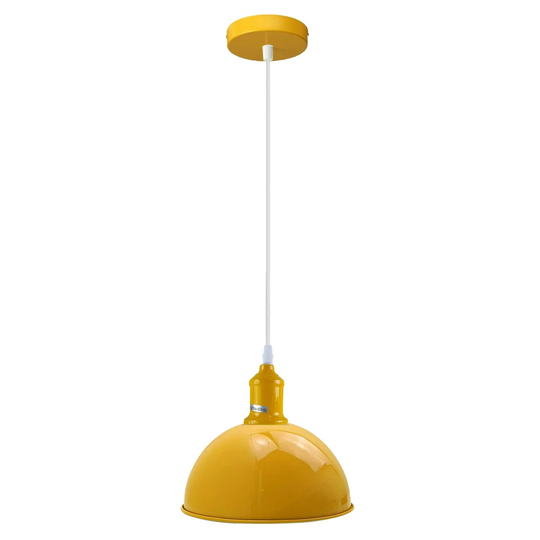 Dlayna 1 - Light Dome Pendant with PVC Accents