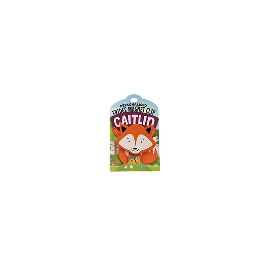 PERSONALISED TO THE NAME CAITLIN FRIDGE MAGNET CLIP FOX DESIGN