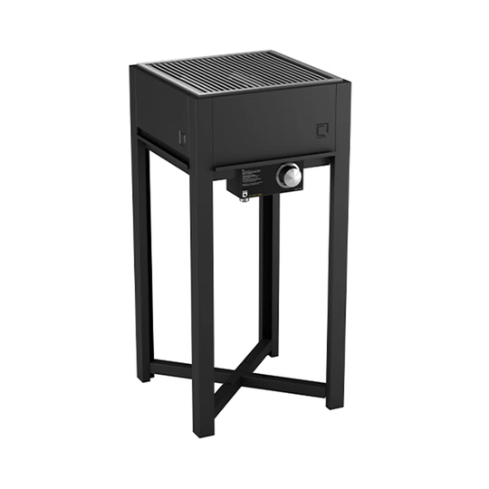 2 - Burner Built-in Liquid Propane 27000 BTU and Charcoal