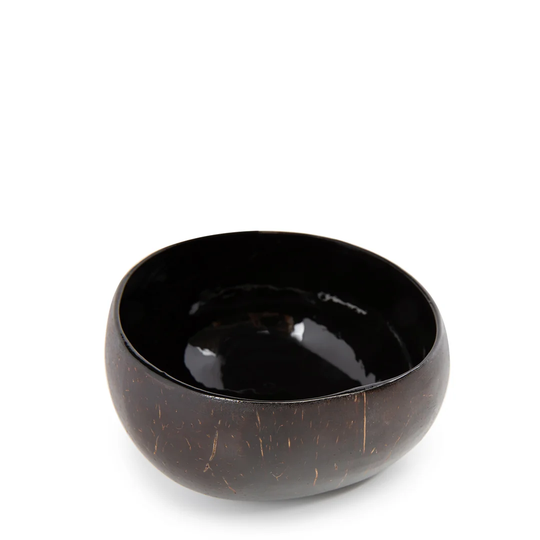 Coconut Food Bowl