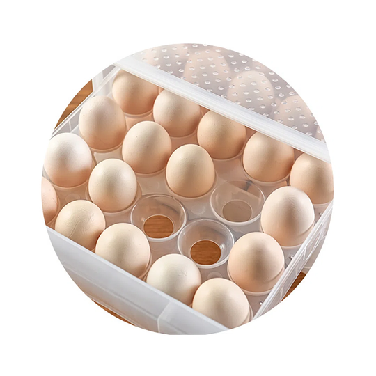 60-Grid Double Layer Transparent Egg Refrigerator Storage Box