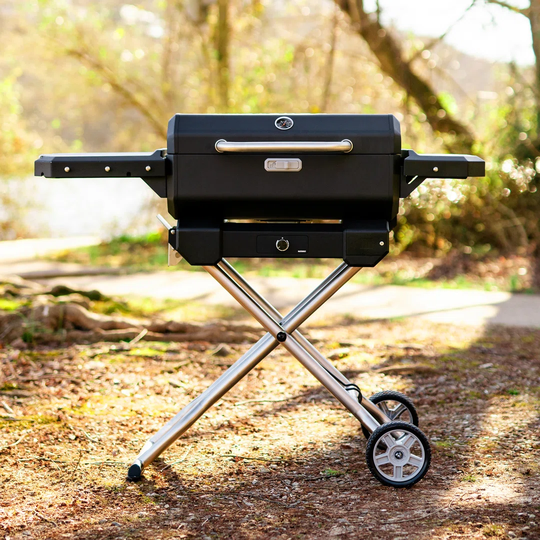 Portable Charcoal Grill with Cart