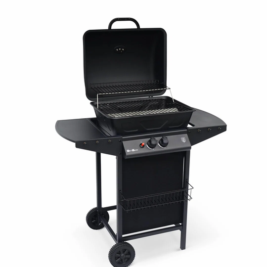 Aramis Gas Electric Barbeque