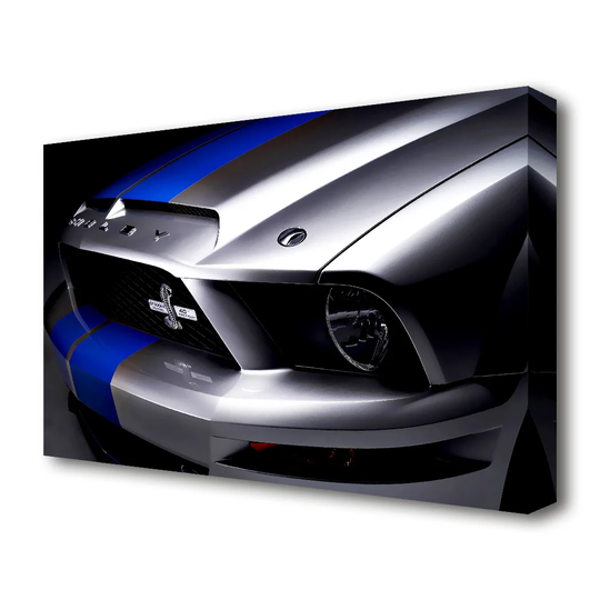 Shelby Mustang Grill - Wrapped Canvas Photograph Print
