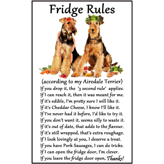 Airedale Terrier Gift - Fridge Rules - Large Fun flexible Fridge Magnet- size 16cms x 10 cms (approx. 6" x4")