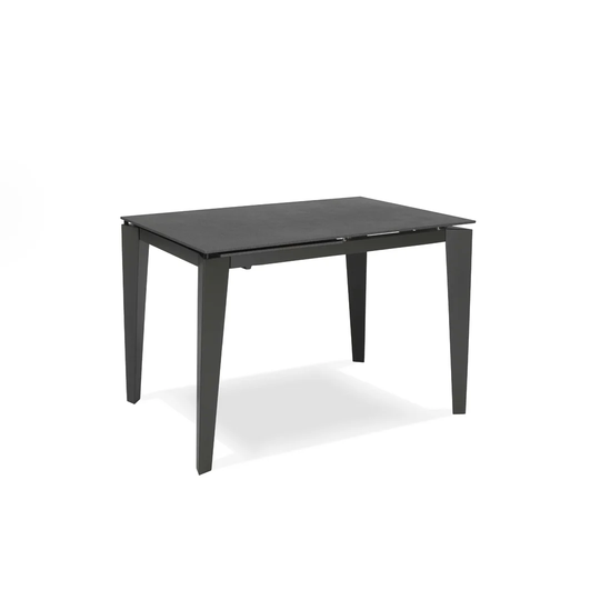 Bricker Extendable Dining Table