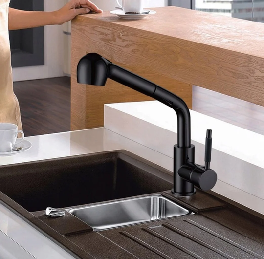 Stm Kitchen Faucet with Pull-out Spout Sink Crane Wt3031