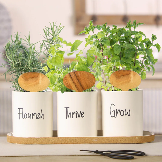 Windowsill Herb Plant Pot on Tray
