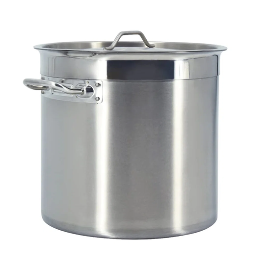 Noel 17 L Stock Pot with Lid